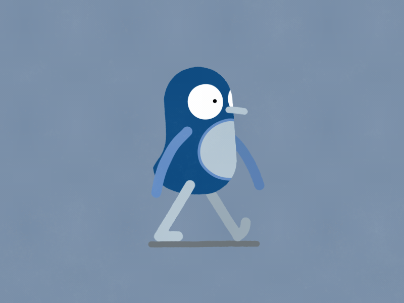Character Animation Test 2d 3d adobe ae after after effect animated animation bird character effects floppy illustration illustrator motion graphic penguin vector walkcycle