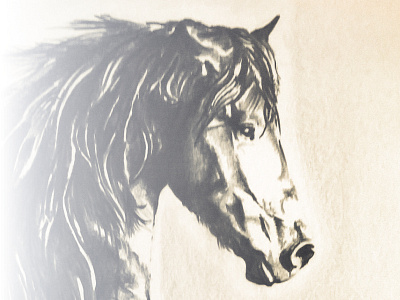 Horse Drawing artsy drawing horse