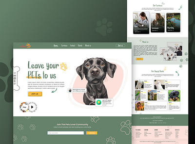 Pet Care Website Design design ui ux