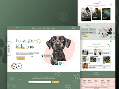 Pet Care Website Design