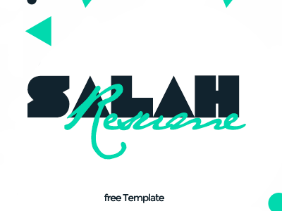 Salah Resume - FREE Personal Template