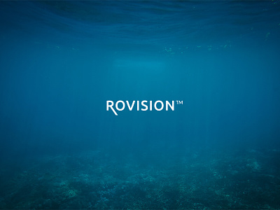 Rovision™ - Deepening Your Insight aquaculture logo rov underwater