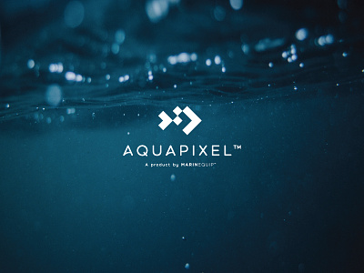 Aquapixel biomass camera for solutions underwater visuals