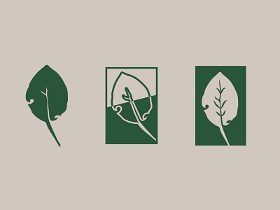 Leaf Logo Mark Exploration - PART 1