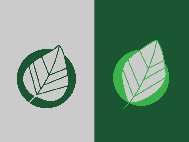 Leaf Logo Mark Exploration - PART 2 client mark logo icon illustrator design illustration leaf green nature