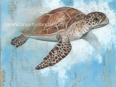 underneath animal collage mixed media oil painting painting realism sea turtle