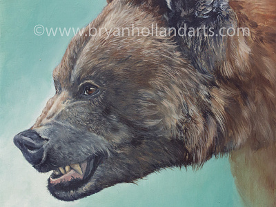 Ursus Arctos animal bear grizzly oil painting painting realism snarl teeth