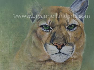 The Space Between animal cat collage cougar mixed media mountain lion oil painting puma realism