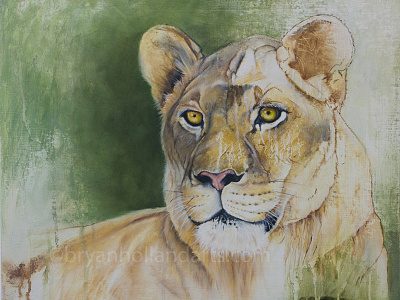 Essence animal lion lioness