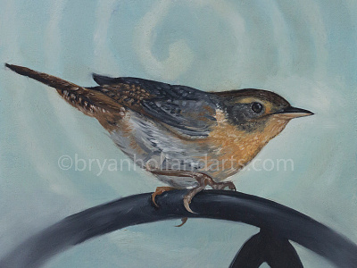 Spiral animal bird oil paint painting