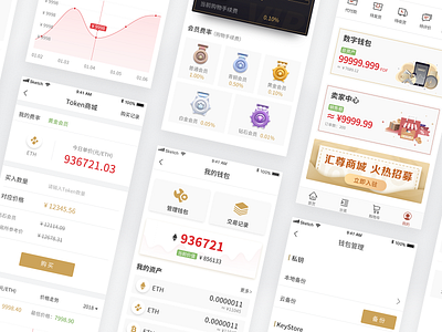 App design - Digital wallet app financial icon pay ui wallet 支付 金融 钱包