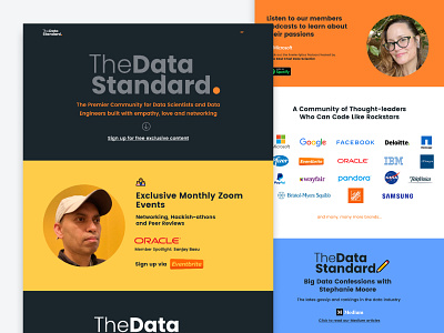 The Data Standard-Website design ui website design