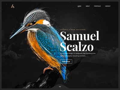 Header personal website bird header illustration interface personal website portfolio retouching slider ui ui design ui web « samuel scalzo »