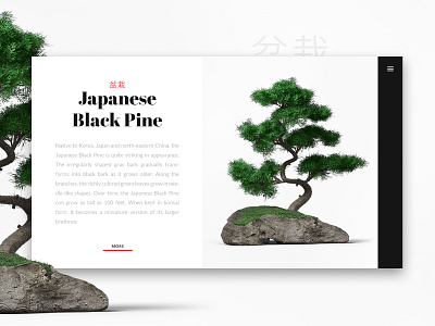 Bonsai product card bonsai clean daily ui japan minimal product card web « samuel scalzo » typography