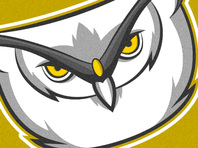 Fantsy Football Owl football logo owl