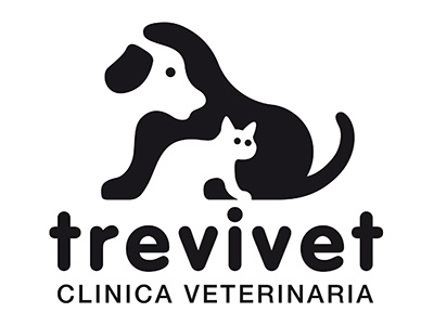 Trevivet Clinica Veterinaria animal black clinic dog kat medical veterinary