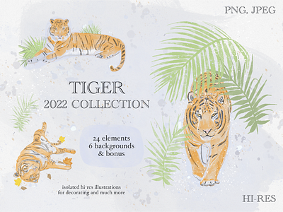 TIGER 2022 COLLECTION 2022 art book design illustration kid new sketch tiger