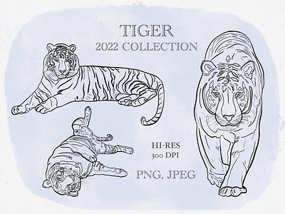 TIGER 2022 COLLECTION 2 2022 art illustration new tiger