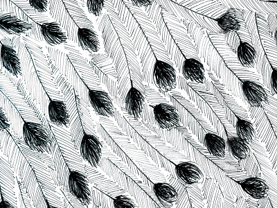 Emu Feather Pattern animal emu ink pattern print repeating pattern