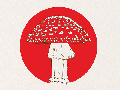 Amanita Muscaria 2 color drawing illustration mushroom vector