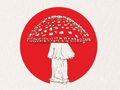 Amanita Muscaria