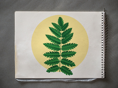 Trendy Fern Illustration