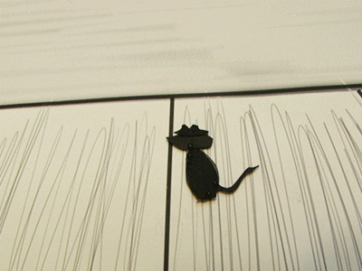 Rat X-ING animation city cut paper equality friends narrative rat stop motion