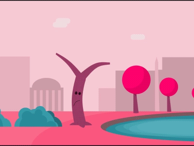 Cherry Blossoms animation cherry blossoms after effects gif