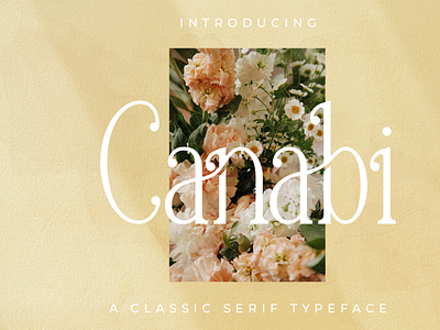 CANABI | Classic Serif Font branding classic font floral font serif classic typography
