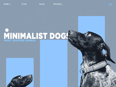 Minimalist ui ux design for pets website branding design minimalist ui uiux web design