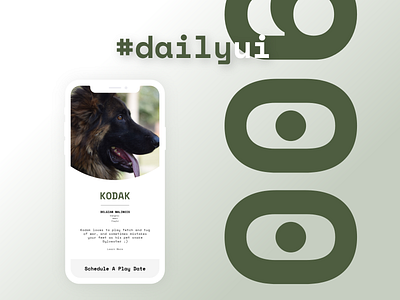 Daily UI 006 Profile app app design branding dailyui dailyui006 dog dogs pet pets typography ui ux visual design