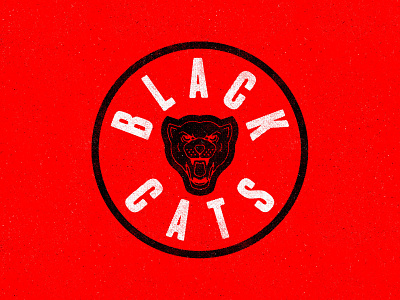 The Black Cats badge football premier league puma soccer sunderland typography
