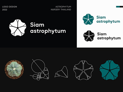 Logo Siam astrophytum,Astrophytum nursery Thailand astrophytum branding cactus design hello dribbble illustration logo ui ux