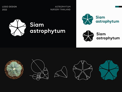 Logo Siam astrophytum,Astrophytum nursery Thailand astrophytum branding cactus design hello dribbble illustration logo ui ux