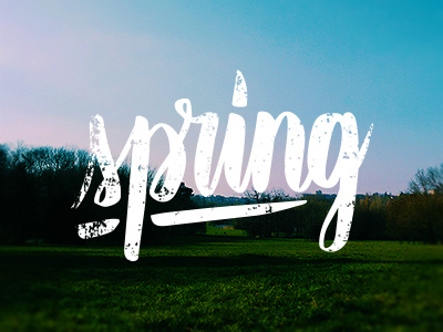 Welcome! handmadefont lettering spring typography