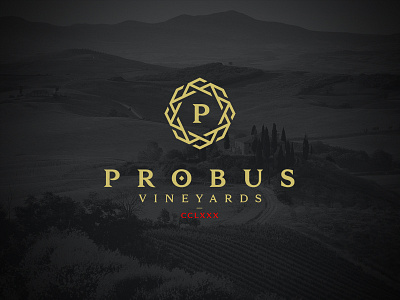 Probus Winery logo eight logo logo design octagon octagonal probus swastika vine vineyard wine wine logo winery