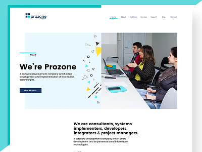 Prozone web design