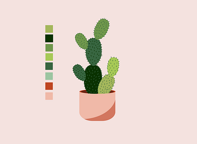 Cactus cactus drawing graphic design illustration illustrator plant