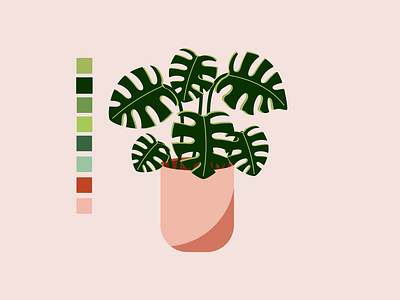 Monstera