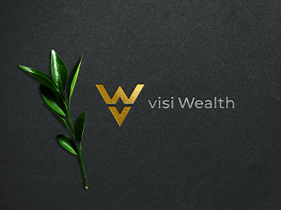 V W visi wealth Logo brand identity branding designe logo logo design vector vw logo