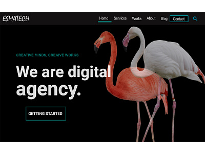 Digital Agency