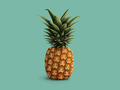 from our families to yours ashley webelhuth illustration pineapple