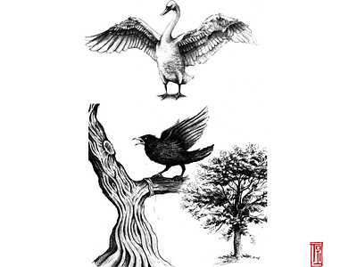 Birds Study, 2019 birds cartoon drawing handdrawn illustration pencils perspective realistic trees