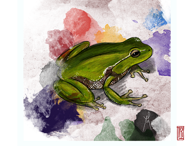 Fluorescent Frog, 2015 amphibian animals artistic cartoon design frog illustration perspective photoshop watercolor