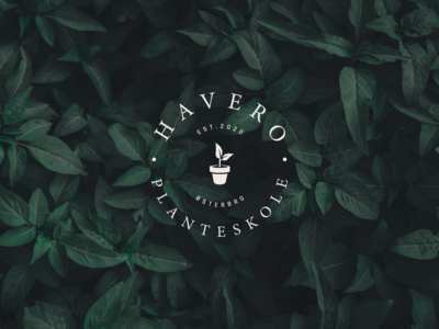 Havero - Logo app branddesign branding clean creative development graphicdesign icons logo logotype marketing mobile platform software ui ux visualidentity webapp webdesign website