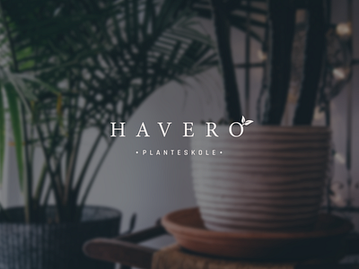 Havero - Logo app branddesign branding clean creative development graphicdesign icons logo logotype marketing mobile platform software ui ux visualidentity webapp webdesign website