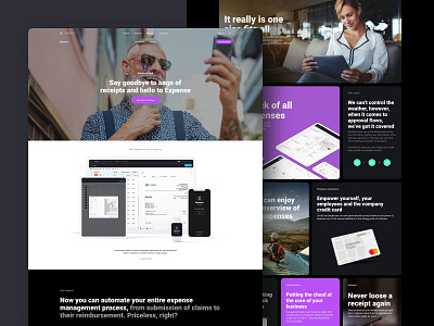 Zenegy - Website 2.0 app appdesign branddesign branding creative development finance marketing minimal mobile platform software strategy ui ux visualidentity webapp webdesign websitedesign