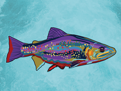 Rainbow Trout colorado fish digital illustration fly fishing phish psychedelic trout