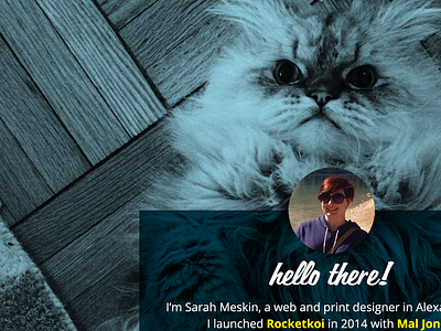 Placeholder website concept cat placeholder website