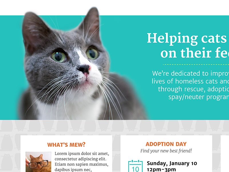 Cat Rescue website pro bono cats homepage website